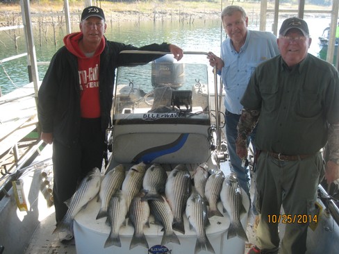 Nice Striped Bass